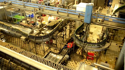 Bohême méridionale à České Budějovice, brasserie Budweiser