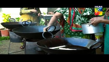 Udaari Episode 16 on Hum Tv in High Quality 24th July 2016