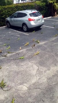 Quand tu as faim mais les autres aussi