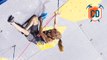 Janja Garnbret Unstoppable Again In Briançon 2016 | Climbing...