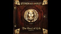 Stephen Marley - When She Dances (feat. Pitbull) [DJ Noodles Remix]