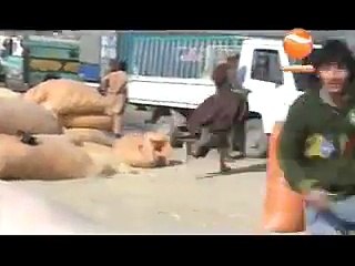 VID-20160103-WA0072.3gp