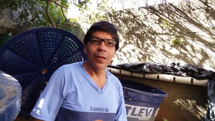 A ÁGUA ESCURA PODE SER PREJUDICIAL AOS PEIXES NA CRIAÇÃO EM CAIXA D`ÁGUA ?