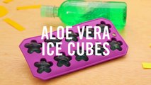 Aloe Vera Ice Cubes Summer Survival Hacks Babble