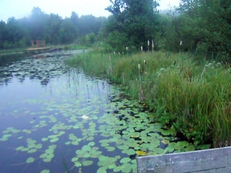 рыбылка 2016
