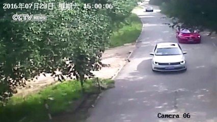 Footage shows shocking tiger attack in Beijings wildlife park