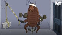 Cockroach ‘Milk’ Might Be the Post-Workout Protein You Need