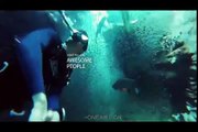 شنا با کوسه ها و لاکپشت ها در اعماق آب های خلیج فارس؛ غواصی بدون نفس