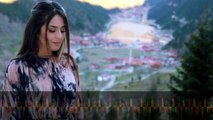 Gel Sevduğum (Elif Buse Doğan) Official Music Video #gelsevduğum #elifbusedoğan