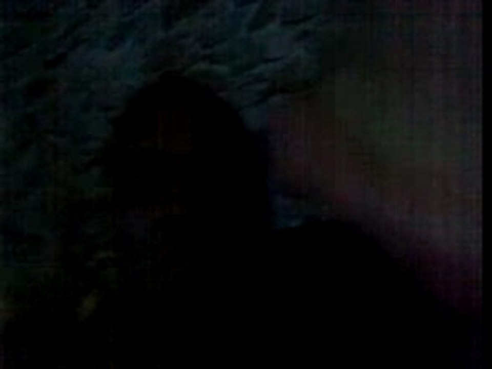 le gitan