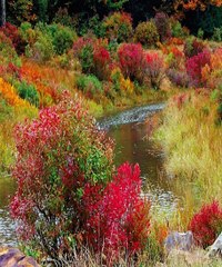 해외스포츠배팅사이트 양방베팅계산기 SuperCar777。com 가입코드6623 해외팁스터