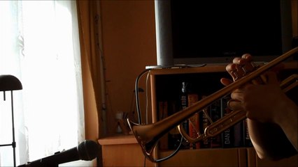 Cool Trumpet Cover