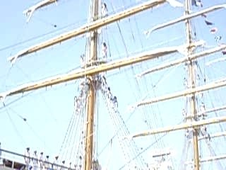 Le libertad - Tall ships race Toulon 1