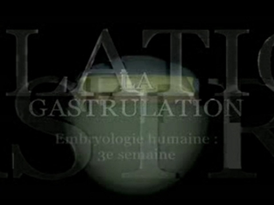 La gastrulation