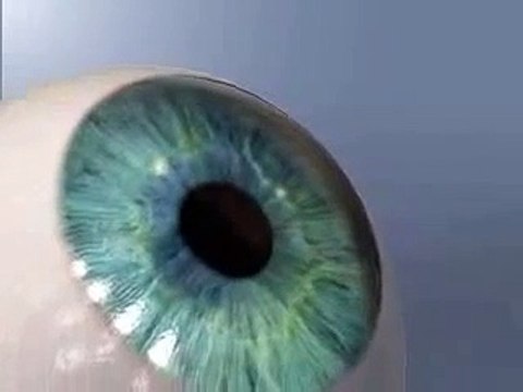 Lasik Surgery And Vision Correction Procedures, Boca Raton FL
