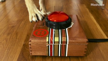 How to teach your dog to take selfies... and text them to you