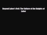 READ book Beyond Labor's Veil: The Culture of the Knights of Labor  FREE BOOOK ONLINE