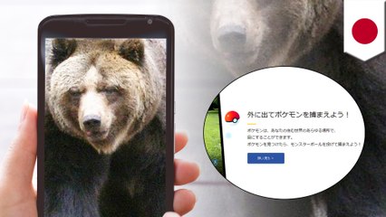 暴行・玉突き・クマ遭遇？ポケモンGO絡みのトラブル多発