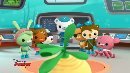 Octonauts - La minute sous-marine : les loutres