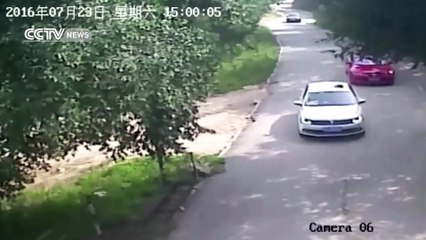 Elle se fait emporter par un tigre en plein safari dans le Beijing's Badaling Wildlife Park