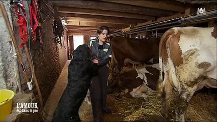 Une prétendante pas vraiment fan de la ferme dans "L'amour est dans le pré" - Regardez