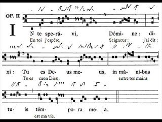 Offertorium In te speravi, Dominica XIX TpA (19è TO)