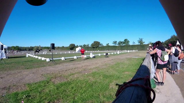 GENERALI Open de France FFE - Lamotte Beurvon - 16 au 24 Juillet 2016 - Ecole Equitation des Rives de Meurthe (54)