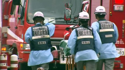19 killed at disabled persons home in Japan