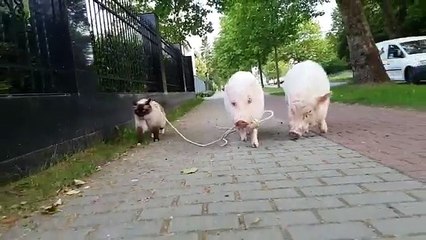 副業収入で旦那より稼げる裏技!