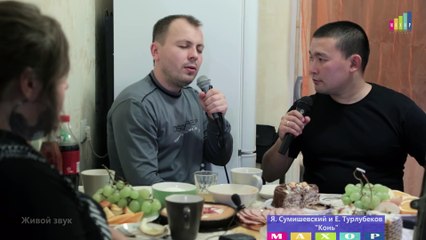 Я. Сумишевский и Е. Турлубеков -  Конь