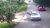 Tiger caught on video attacking woman at Beijing wildlife park