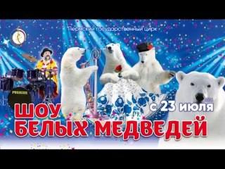 ペルミでのホッキョクグマのサーカス公演予告 (Jul. 14  2016)