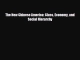 Free [PDF] Downlaod The New Chinese America: Class Economy and Social Hierarchy READ ONLINE