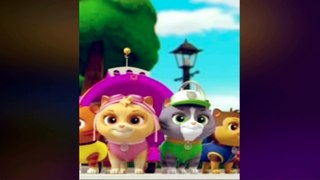 Paw Patrol Vs Cats ⚫  Paw Patrol Characters Cat