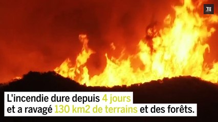 La Californie toujours en proie aux flammes