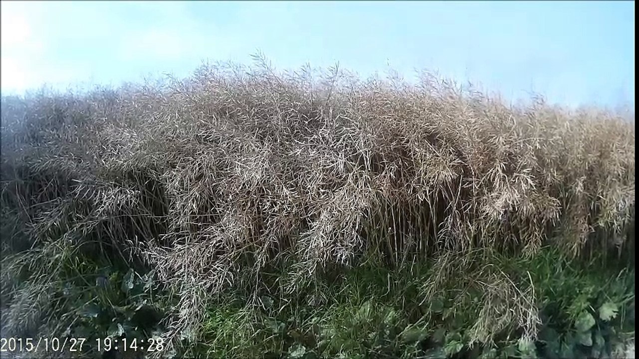 Rando Caméra embarquée 1