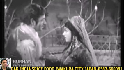 NOOR JAHAN - TERE KHAWAB TE KHAYAL - DERA SAJNA DA+HD スパイスハラルフード　岩倉市 ジャパンjapan halal food spice