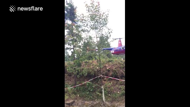 Sightseeing helicopter crashes in China, injuring one