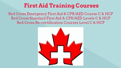 Learn Standard First Aid Course for Safety