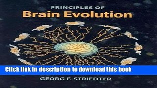 Read Books Principles of Brain Evolution E-Book Free