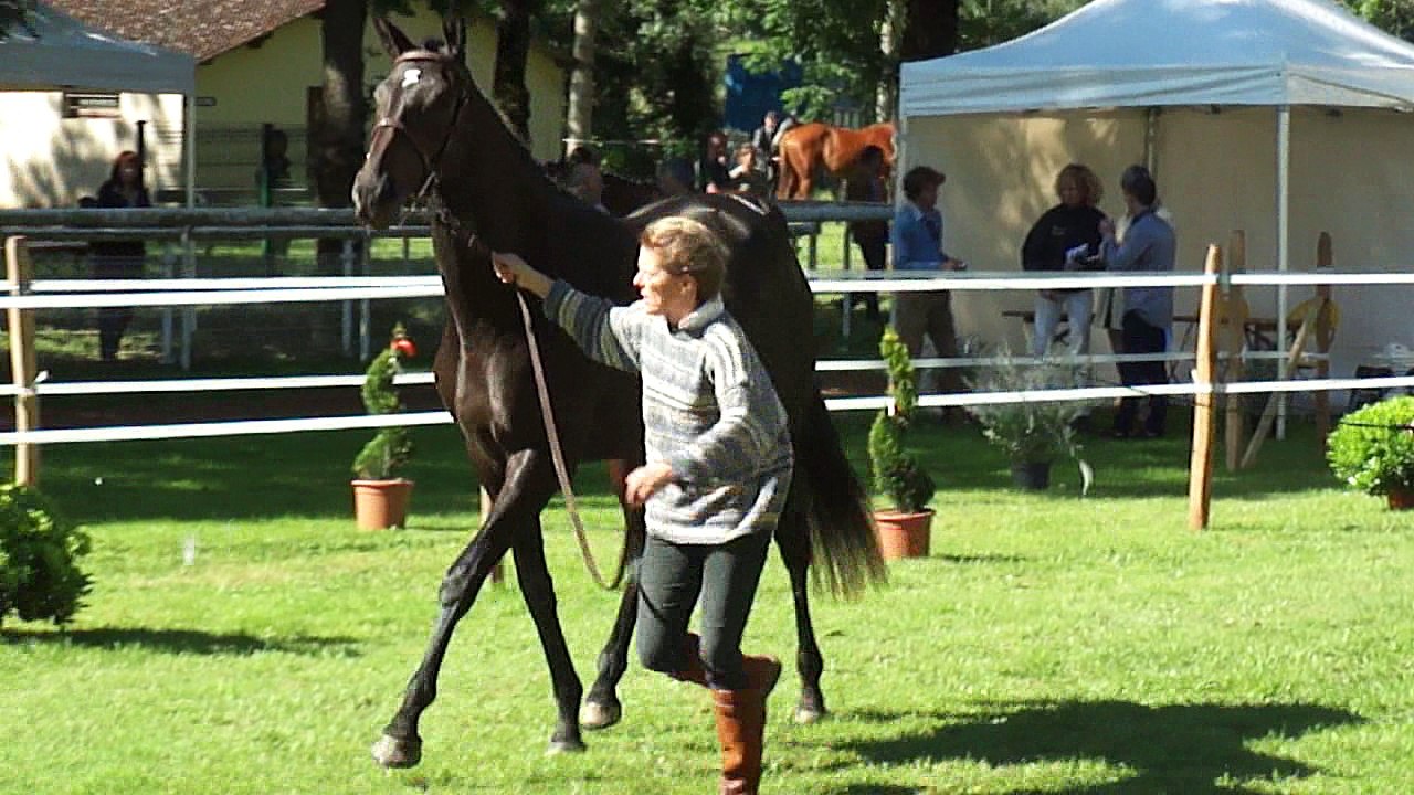 Eau gazeuse qualifiée pour DecizeM4H02037