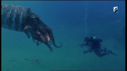 Safari Préhistorique : Monstres Marins - HD ST (2002)