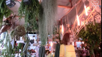 Zarla 사랑해 - la你遊首爾(Vlog) - 3大必去花主題Cafe - YouTube