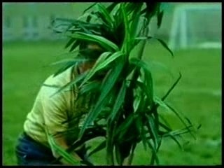 Banned Commercials - Adidas - Zinedine Zidane