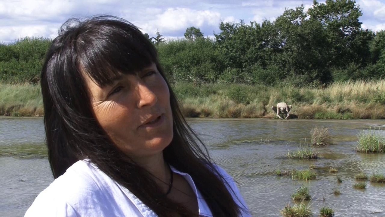 Homo Algus - (Le rapport de l'homme à la nature)