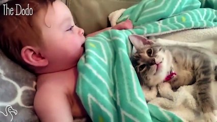 Baby can't stop petting kitten
