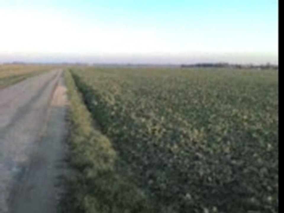 cr 80 cm3