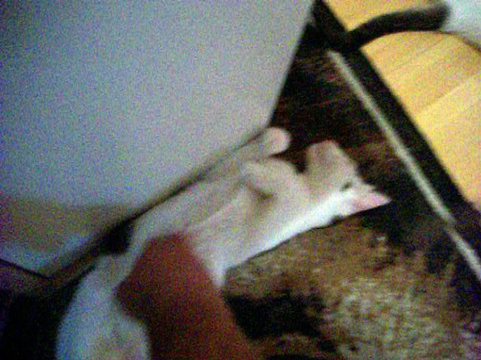 Vinzent am 25.07.2016