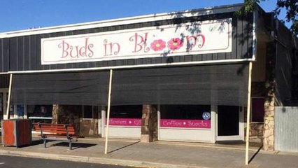 Commercialproperty2sell:Retail Shop For Sale In SA Country South