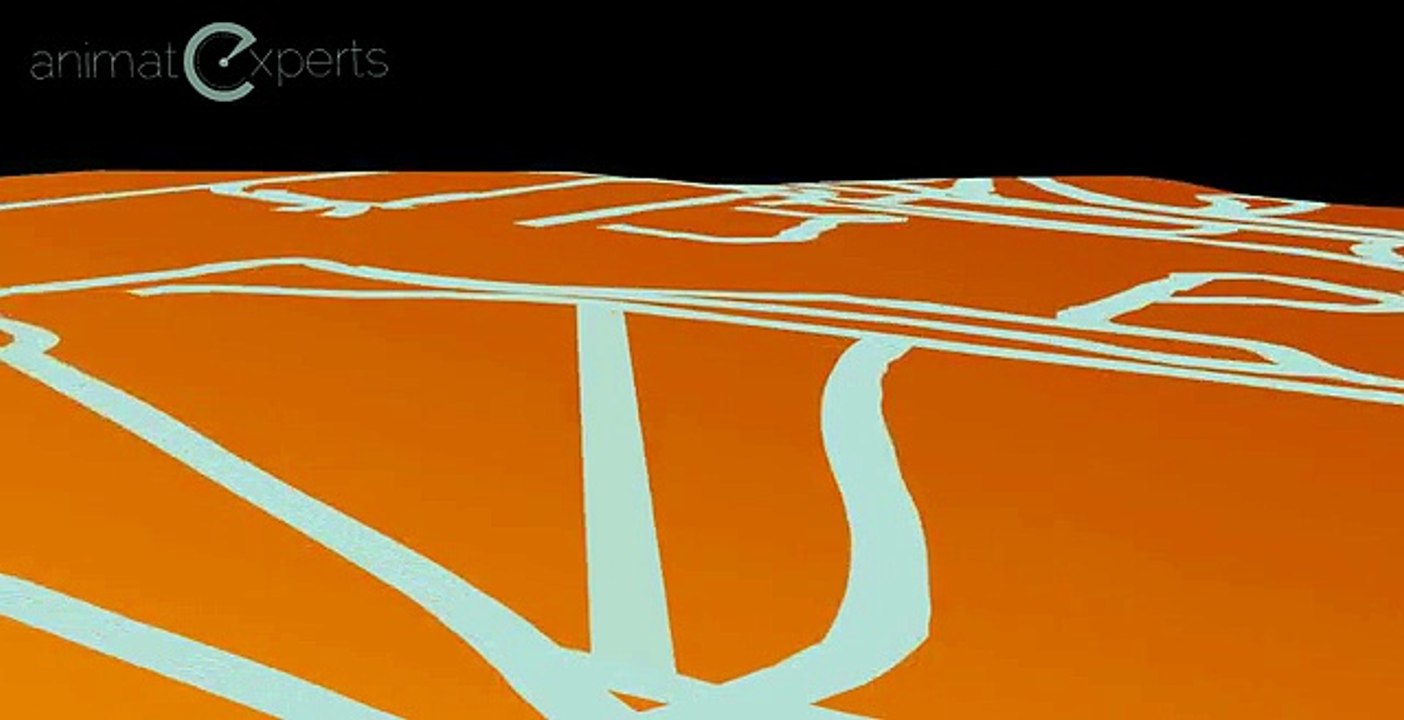 Animated BMA SIte Induction - Animate Experts